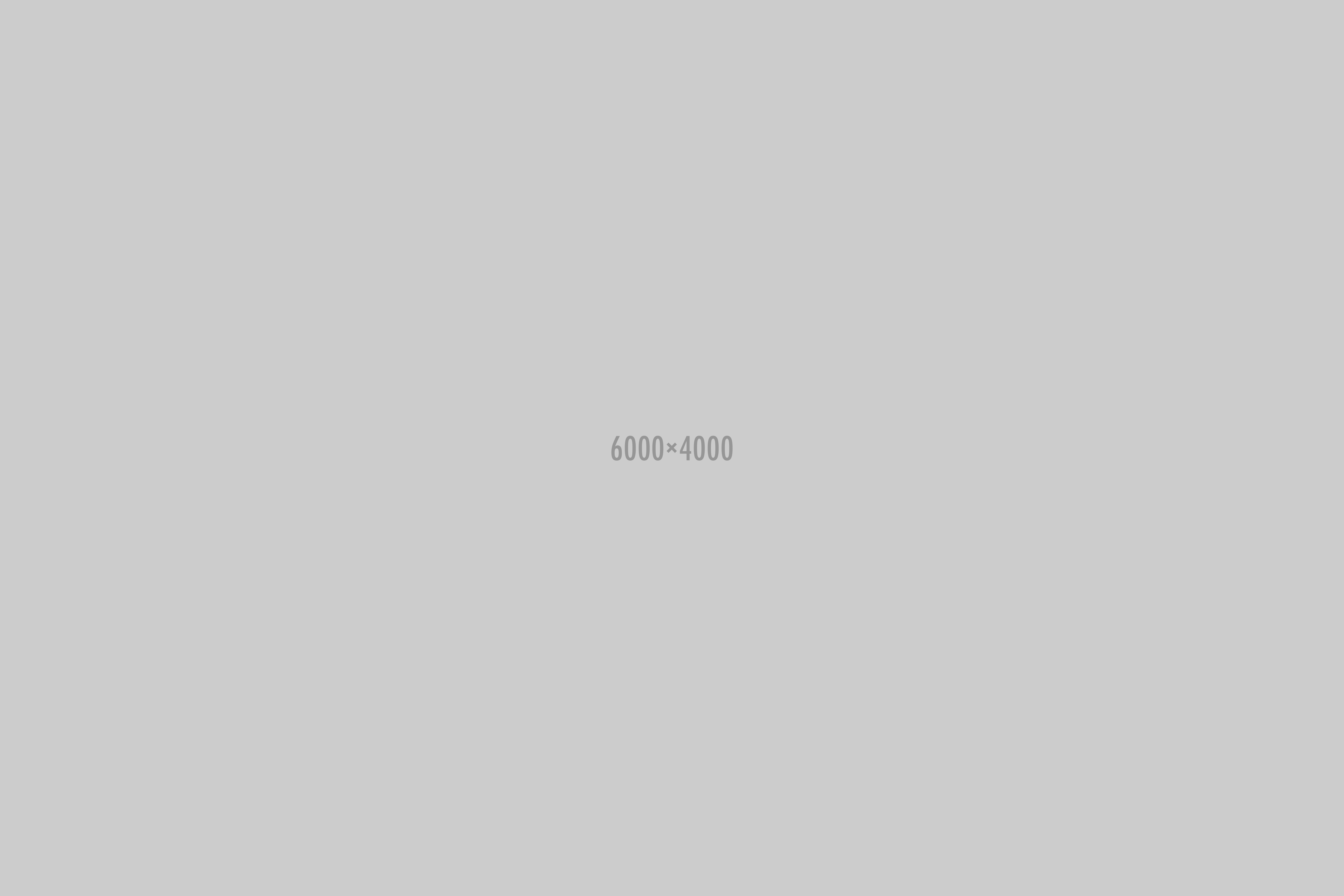 photo-1464188776886-149f86bd1027